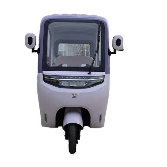 2025 EEC DOT Certified Steel Electric Passenger Tricycle for Adults 1000W Power 3 Seat Options 400kg 800W 72V 48V 60V Open Body